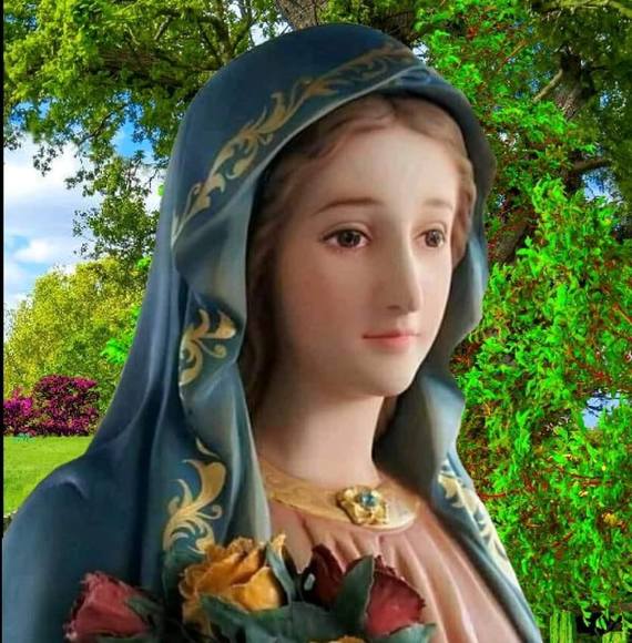 Meet your Posher, Ngọc phan - Picture 1 of 1